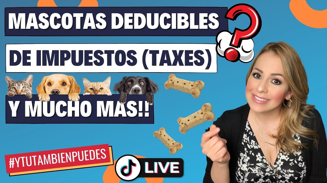 MASCOTAS (PERROS Y GATOS) Deducibles de Impuestos (Taxes)? Episodio No