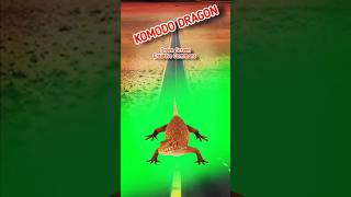 Lizard On The Green Screen Footage. Animation Komodo Dragon On Chromakey.