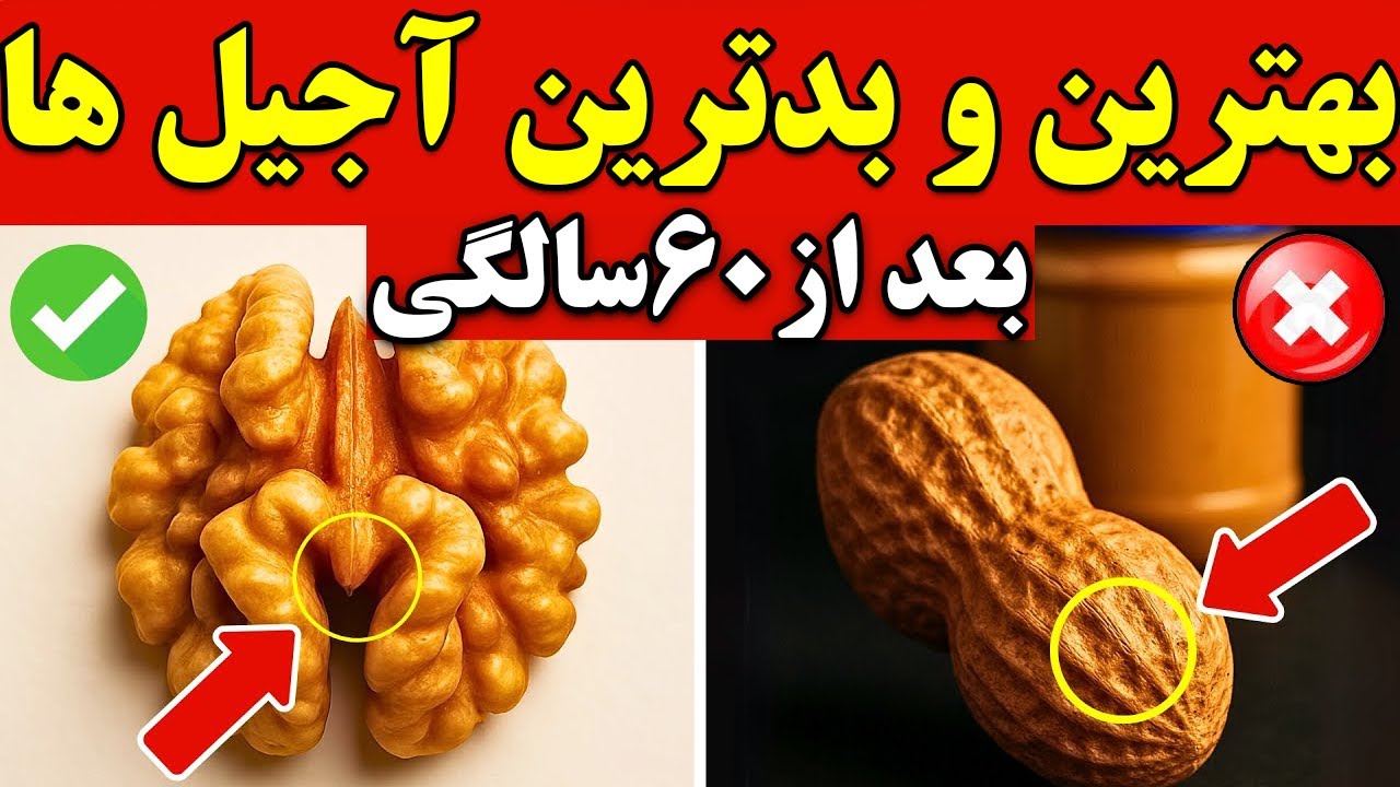 ۴ آجیل برای افزایش طول عمر و ۴ آجیل که باید ازش دوری کنید!