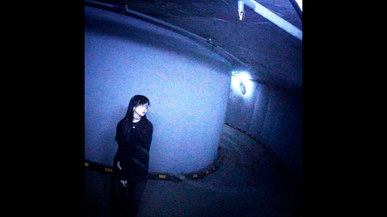 (free) indie + shoegaze acoustic guitar type beat 