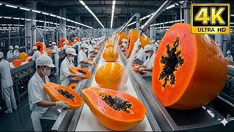 Inside the Papaya Juice Factory How Fresh Papayas Turn Into Nutrient Rich Juice! Full Process