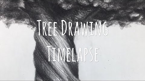 Relaxing Tree Drawing Time lapse | Cross hatching | Artbymelissa