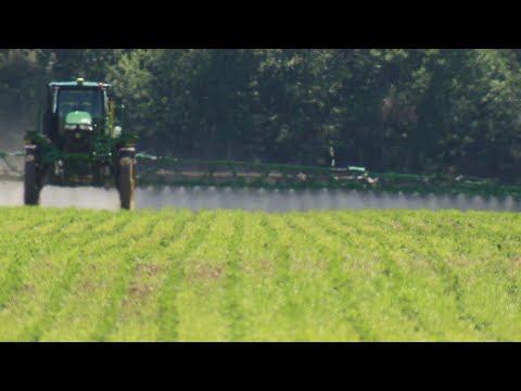 Vidéo: Que peuvent faire les agriculteurs pour parvenir à une agriculture durable ?