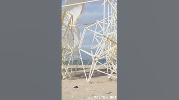 19 metre kinetic sculpture by artist Theo Jansen.