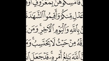 سورة الطلاق من آيه 4 إلى آيه 7 الشيخ ماهر المعيقلي