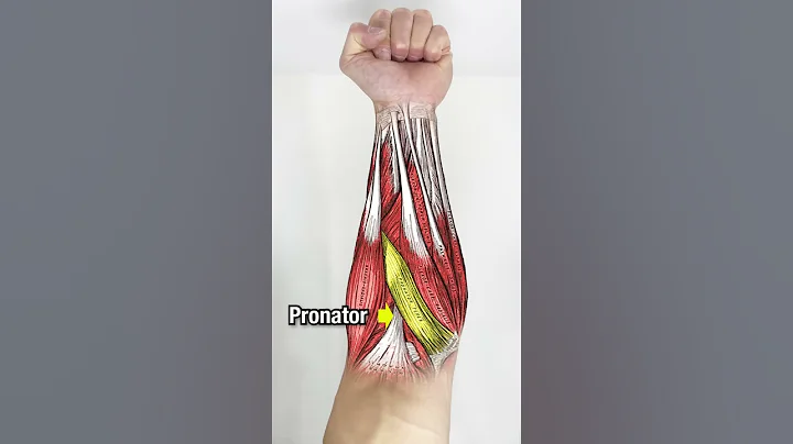 Want BIGGER Forearms? DO THESE!