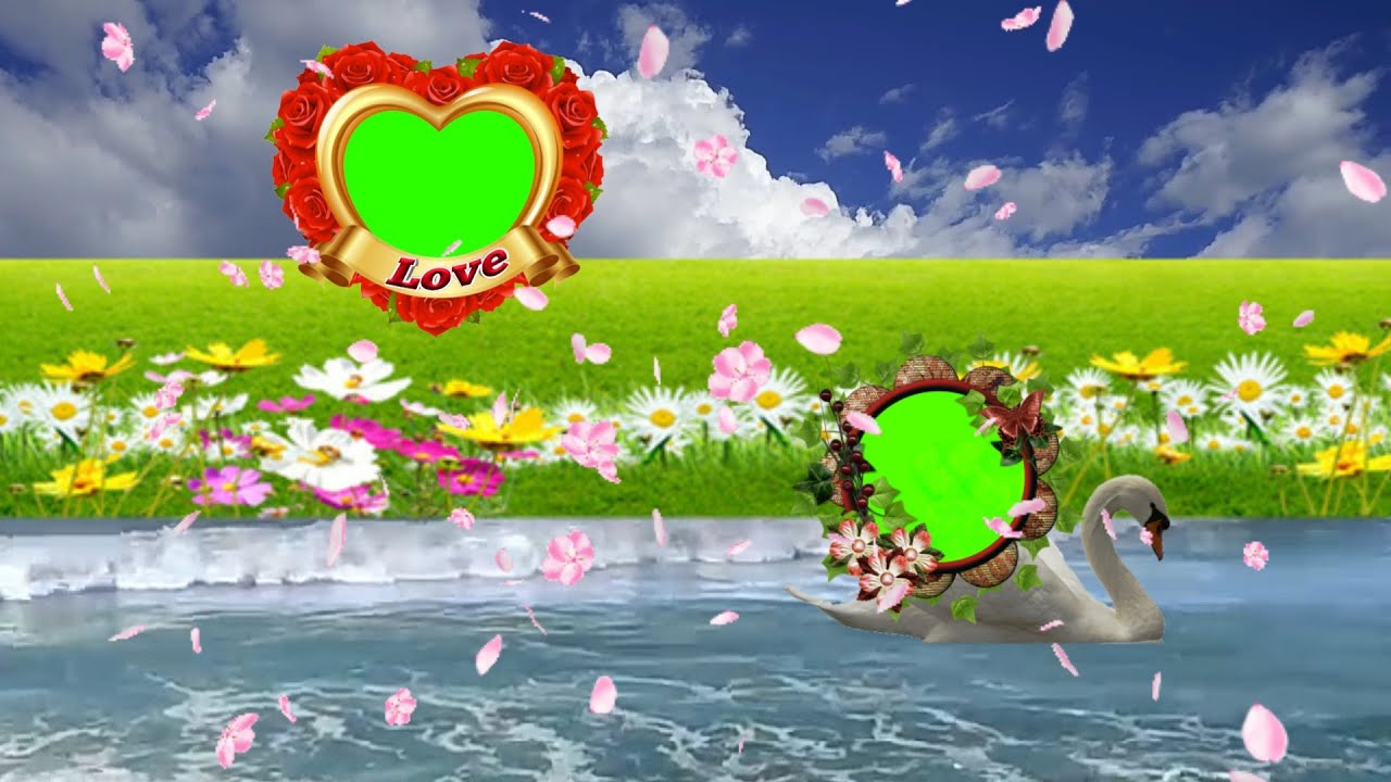green screen video effect background - YouTube