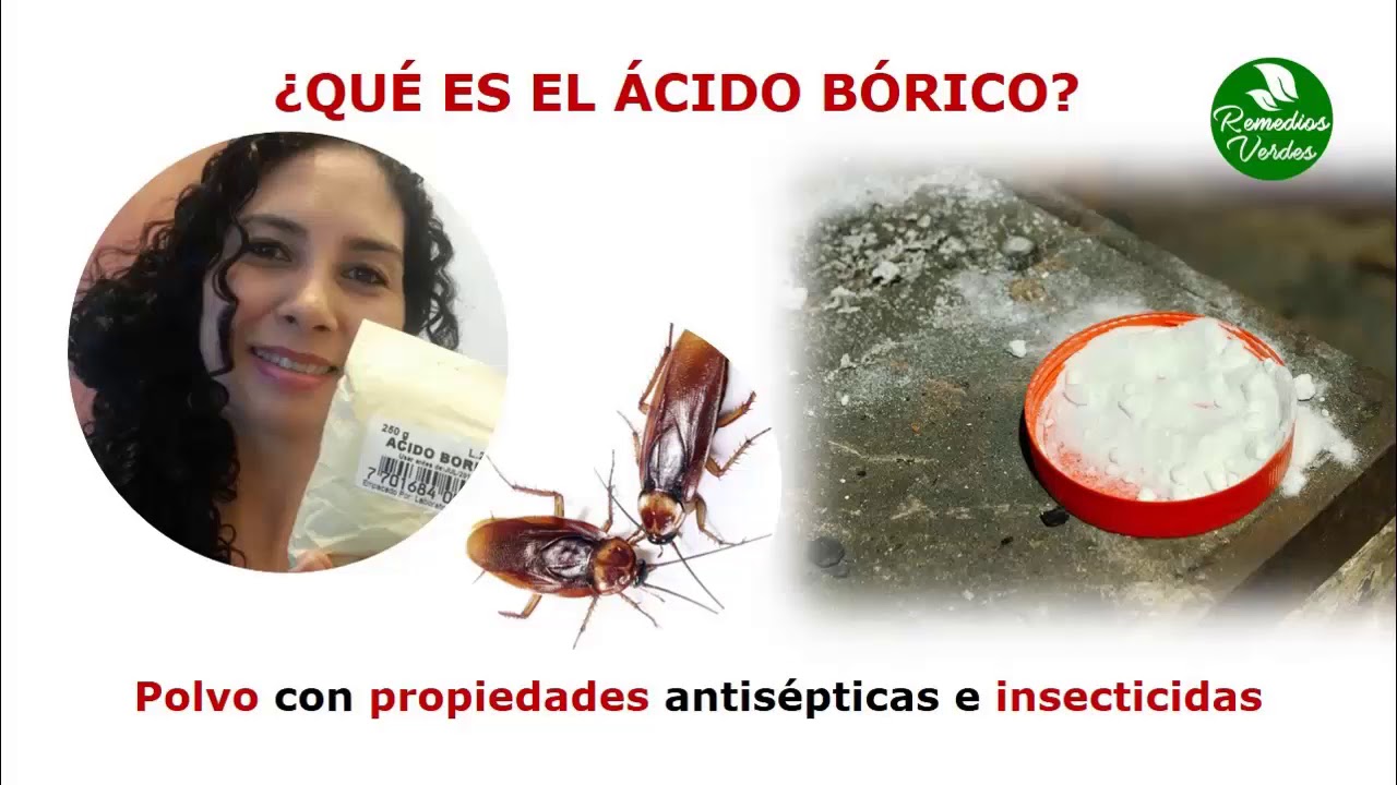 Como Preparar El Acido Borico Para Las Cucarachas? - []