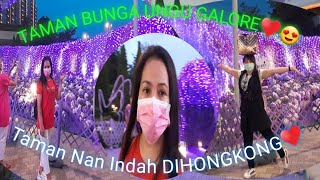 Download lagu PURPLE FLOWER /BUNGA UNGU GALORE DINORTH POINT, HONGKONG //YOUTUBER PEMULA