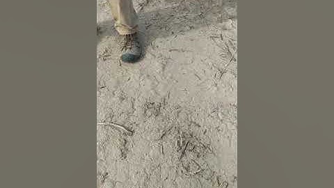 Uncle Mud Interview and Tour with Earthship Builder Ted Brinegar of Foxhole Homes (Part 4 of 4)