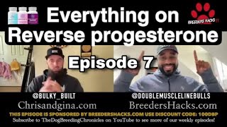 Everything about Reverse Progesterone! with @doublemusclelinebulls & @chrisandgina