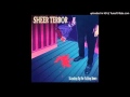 Sheer Terror - Did You Just Meet Me?