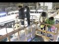 足摺海洋館エサやり体験 の動画、YouTube動画。