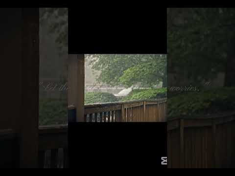 Peaceful Rain Vibes