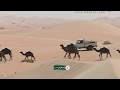 البدو في السعوديه The Bedouins in Saudi Arabia