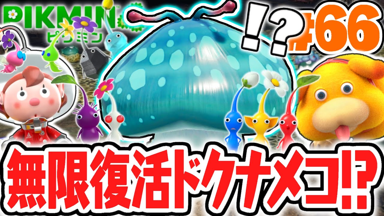 王の穴で無限に復活するドクナメコを討伐せよ!!ラストダンジョンが難しすぎる!!最速実況Part66【ピクミン4】