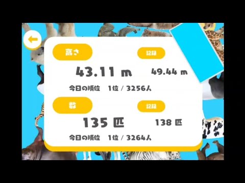 協力積み135匹！！！#どうぶつタワーバトル