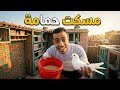مسكت حمامه وحصل حاجه غريبه عند الحمام