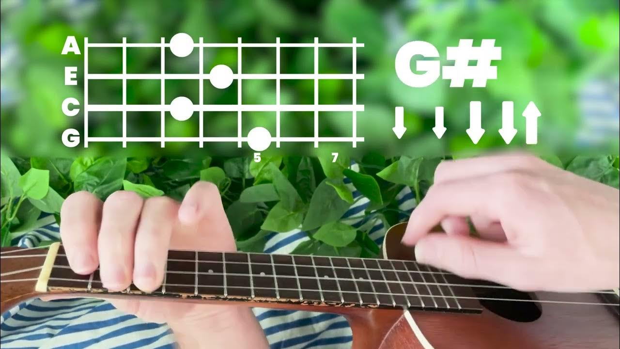 Pixies Where Is My Mind // Ukulele Tutorial YouTube