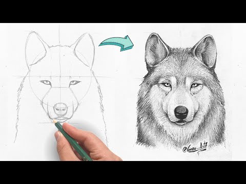 Video: Cómo dibujar un retrato de rostro completo con un simple lápiz