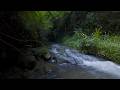 River Sounds for Sleeping | 12 Hours Tranquil River Escape for Sleep Aid [No Talking]