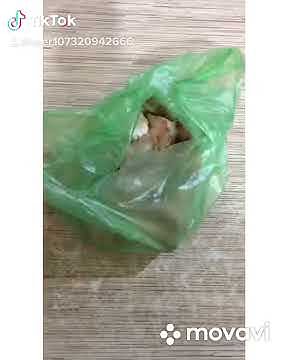 Готовим поросячьи хвостики - YouTube