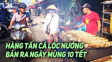 Hàng tấn cá lóc nướng bán ra ngày mùng 10 Tết | VTV24