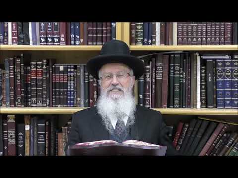 הגאון הרב אברהם יוסף שליט"א האם יש מאכלים מסוימים הנחשבים למוקצה בשבת