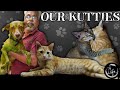 A day with our kutties   pet lover    