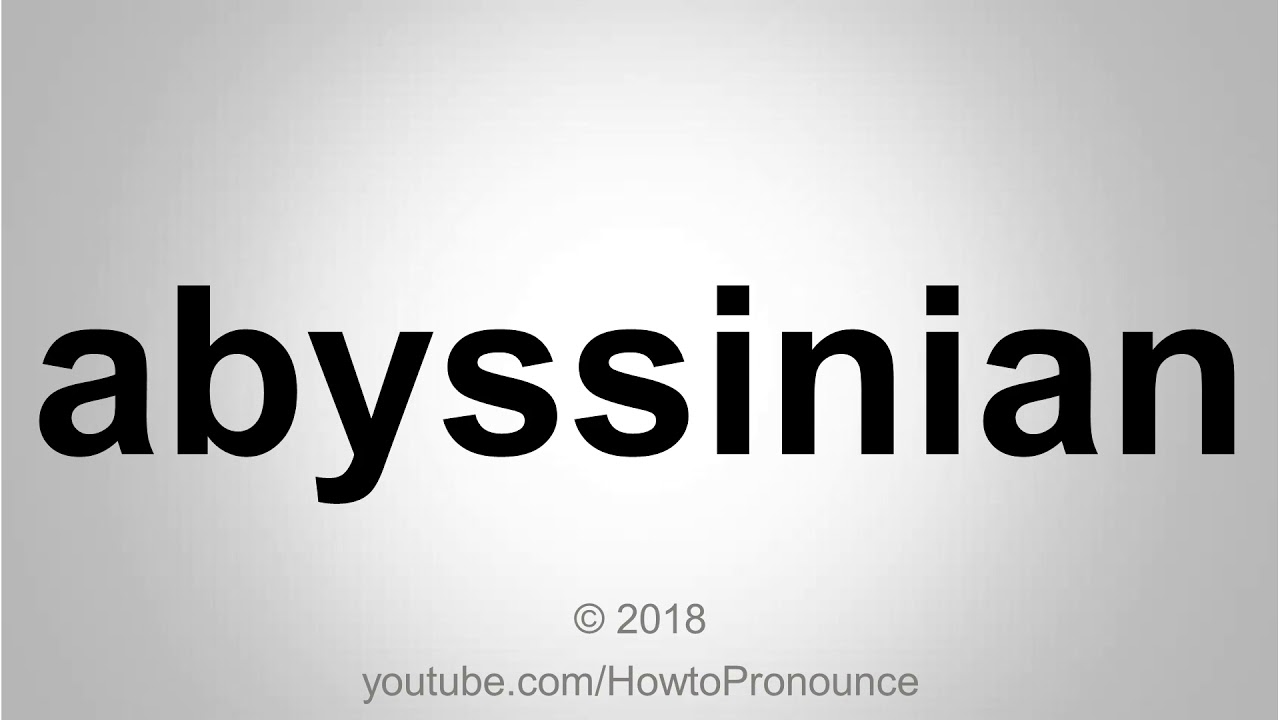 How to Pronounce abyssinian - YouTube
