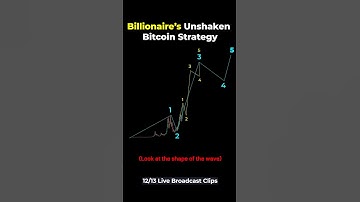 Billionaire’s Unshaken Bitcoin Strategy for 4 Years!