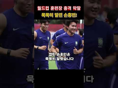 군대도 안 갔다 온 것들이. 월드컵 훈련장 충격 막말.그래도 달린 캡틴 손흥민
