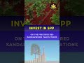 Sai Properties & Projects Ltd | Redsandalwood Farmlands