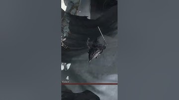 oh..... #darksouls #eldenring #fromsoftware #darksouls3 #darksoulsremastered #randomizer