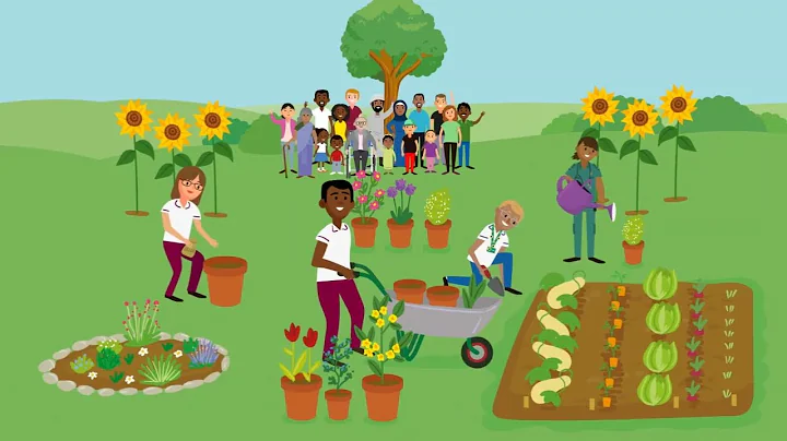 Advanced Practice Education Pillar