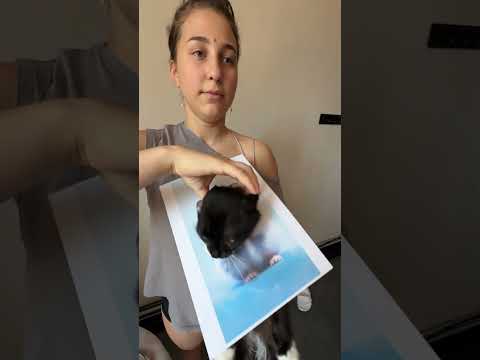 НУ ПРИВЕТ Я МАХИТО #cat #видосыоткота #веселыекоты