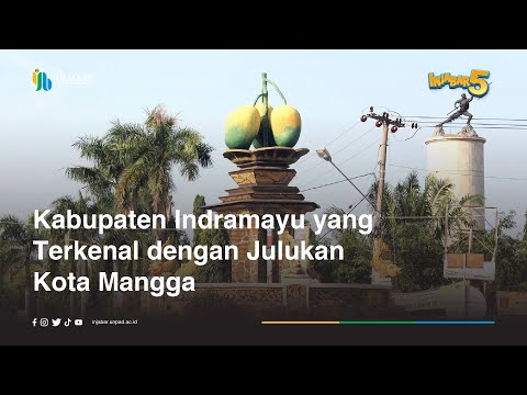 DEDI MULYADI BERI TUMPANGAN KEPADA IBU PENJUAL PECAL DI INDRAMAYU #kdm #kangdedimulyadi #dedimulyadi