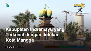 Kabupaten Indramayu yang Terkenal dengan Julukan Kota Mangga #InJabar5