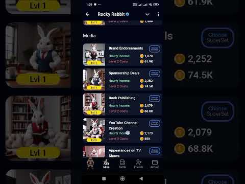 Rocky Rabbit Combo