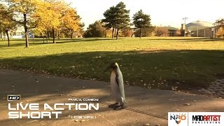 Live Action CGI VFX Animated Short "PENGUIN ESCAPES FROM ZOO" Interesting Funny Film by Centre NAD