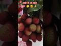 साल में😂#ytshorts #funny #comedy #fruits#food#shorts feed #viral #daily vlog 😂😂