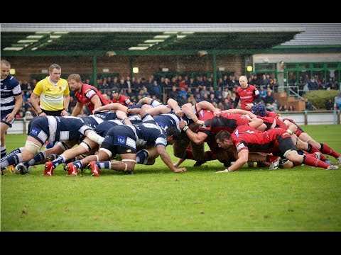 jersey reds rugby