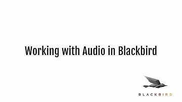 Introduction to Audio in the Blackbird Editor