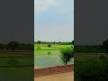 subscribe to my channel