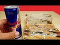 Реакция Муравьев на Молоко, Пиво и RedBull. Alex Boyko. Что если дать муравьям пиво?