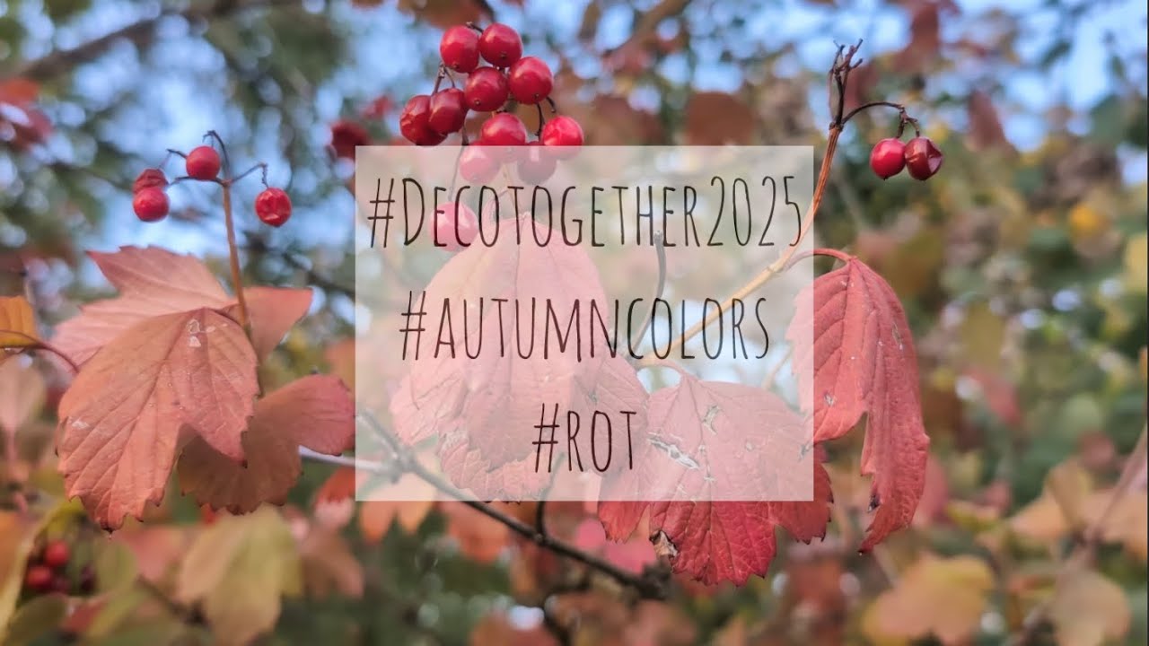 Wochendeko KW 41 2025 | Ours Journal | 