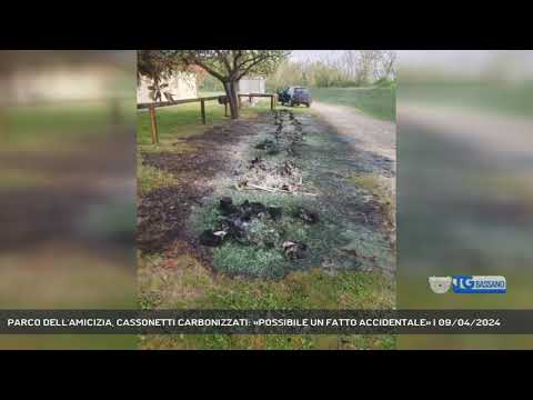 PARCO DELL'AMICIZIA, CASSONETTI CARBONIZZATI: «POSSIBILE UN FATTO ACCIDENTALE» | 09/04/2024