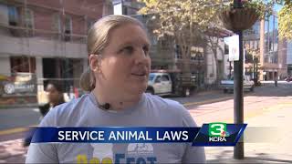 Fake Out: How California cracks down on fake service animals