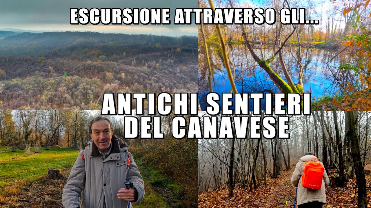 ESCURSIONE NEI SENTIERI MEDIEVALI IN UNA FORESTA NEL CANAVESE RIMASTA INTATTA DA MILLENNI!