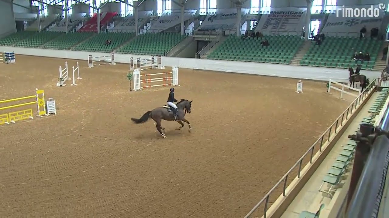 B Sportpferde_D-Jay Cracker & Emma Bachl_Hengststation Bachl_2026_Kreuth